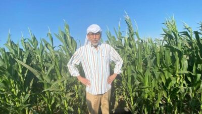 Hatay’ın çiftçi milletvekili A.Şefik Çirkin, hükümetin belirlediği mısır taban fiyatından