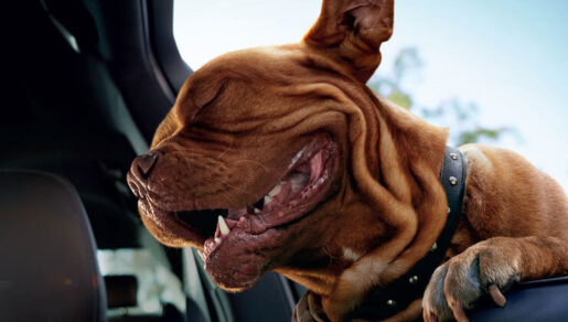 Dağlık Karabağ’da 27 Eylül tarihinde başlayan savaş 44 günde Ermenistan’ın