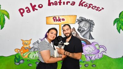 Hatay’da enkazdan kurtarılan köpek, İzmir’de sıcak bir yuvaya kavuştu. Kevser