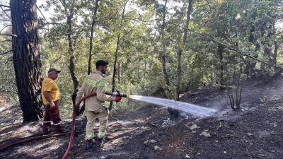 Hatay’ın İskenderun ilçesinde çıkan orman yangını, havadan ve karadan müdahaleyle