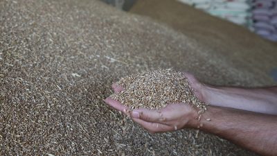 Ulusal Hububat Konseyi (UHK) Yönetim Kurulu Başkanı Özkan Taşpınar, bahar