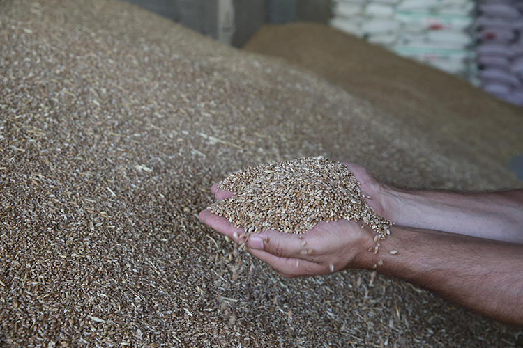 Ulusal Hububat Konseyi (UHK) Yönetim Kurulu Başkanı Özkan Taşpınar, bahar