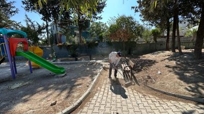 Antakya Belediyesi Park Bahçe Müdürlüğü ekipleri, ilçenin çeşitli mahallelerinde çim