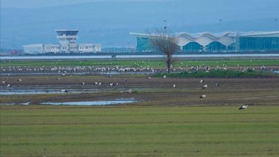 Hatay Tabiatı Koruma Derneği Başkanı Abdullah Öğünç, dernek olarak Hatay