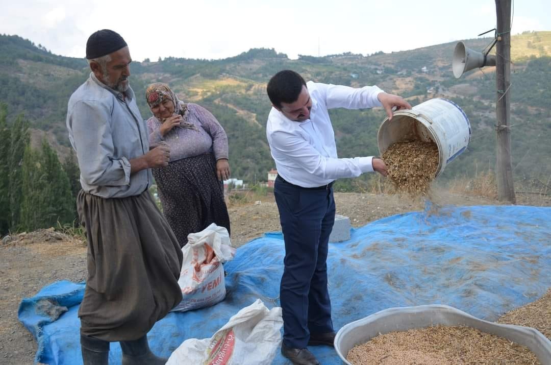 Kaymakam tarlada üreticiyle nohut harmanı yaptı