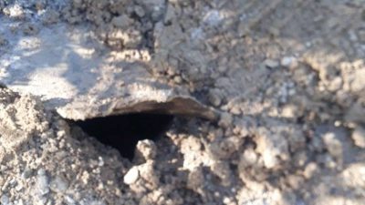 Bir vatandaş Defne ilçesi Dursunlu kırsalında motorlu taşıt aracıyla seyir