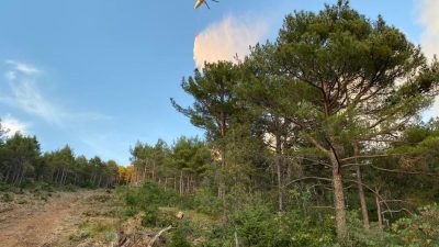 Hatay’ın Samandağ ilçesinde çıkan orman yangını ekiplerin havadan ve karadan