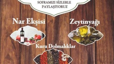 Deprem sonrası çok sayıda Hataylının göç ettiği illerinde başında gelen