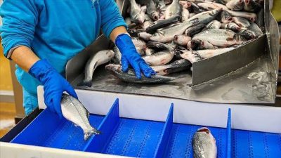 Ticaret Bakanı Ömer Bolat, bu yıl ocak-temmuz döneminde su ürünleri