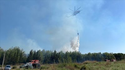 Antalya'nın Aksu ilçesinde otluk bölgede çıkan yangın, tersane ve ormanlık