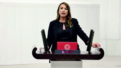 Cumhuriyet Halk Partisi Hatay Milletvekili Nermin Yıldırım Kara, Türkiye’de demir