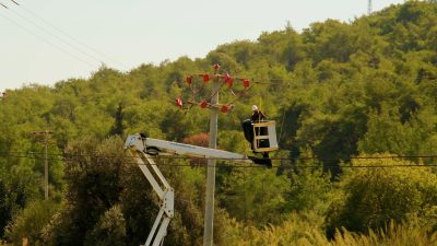Yalıtkan hatlarla Kuşları koruyan Toroslar EDAŞ’ın çalışmaları ile Enerji arıza