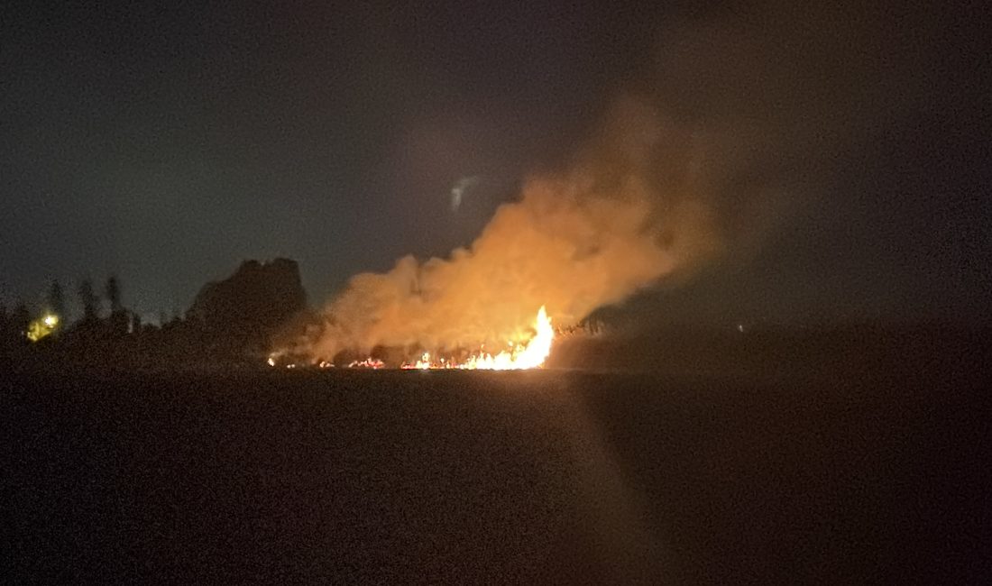 Hatay’ın Dörtyol ilçesinde sazlık