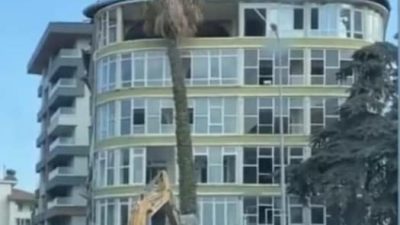 Antakya Kışlasaray Mahallesi Çiçek Apartmanı önündeki palmiye ve çam ağaçlarını