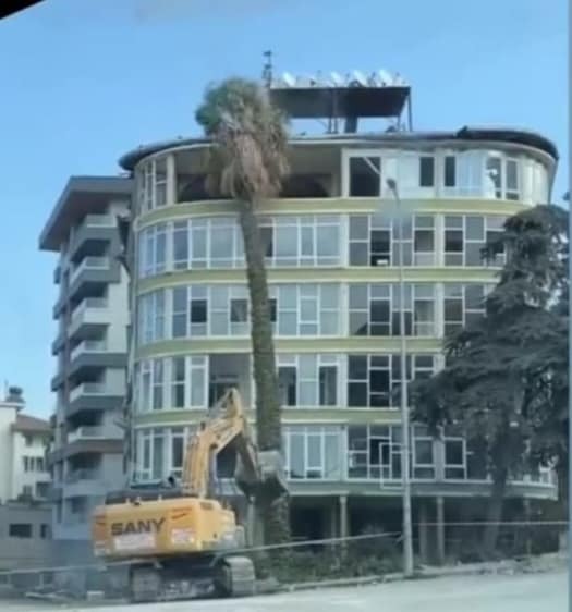 Antakya Kışlasaray Mahallesi Çiçek Apartmanı önündeki palmiye ve çam ağaçlarını