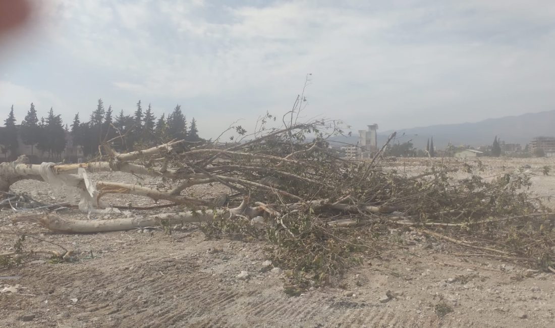 Antakya Çevre Koruma Derneği