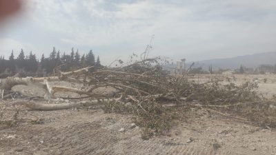 Antakya Çevre Koruma Derneği başkanı Nilgün Karasu dernek yönetimine gelen