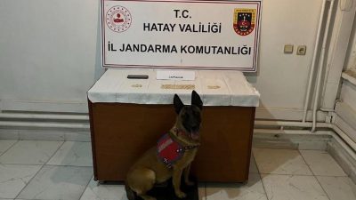 Hatay il Jandarma Komutanlığı Ekiplerince; Kırıkhan İlçesi Cumhuriyet Mahallesinde 6