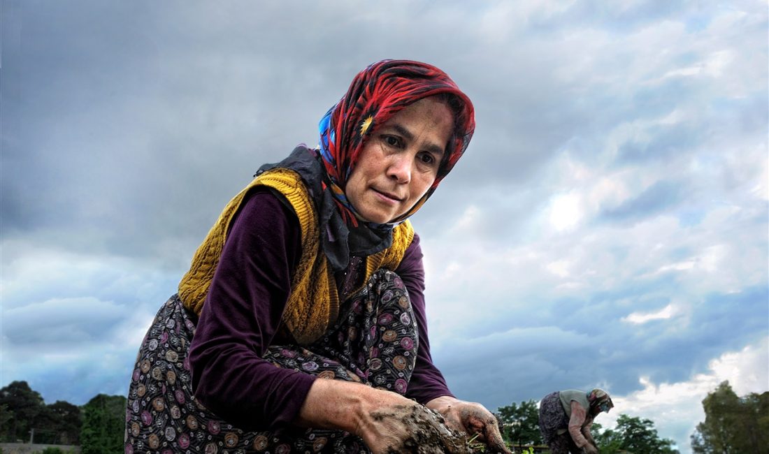 Uluslararası Tarım Üreticileri Derneği 