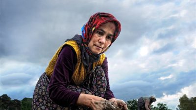 Uluslararası Tarım Üreticileri Derneği  tarafından ilan edilen  ve 1997 yılından