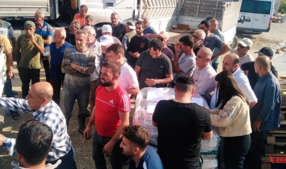 Hatay’ın Samandağ ilçesinde çiftçilere, Birleşmiş Milletler Gıda ve Tarım Örgütü