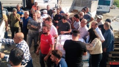 Hatay’ın Samandağ ilçesinde çiftçilere, Birleşmiş Milletler Gıda ve Tarım Örgütü