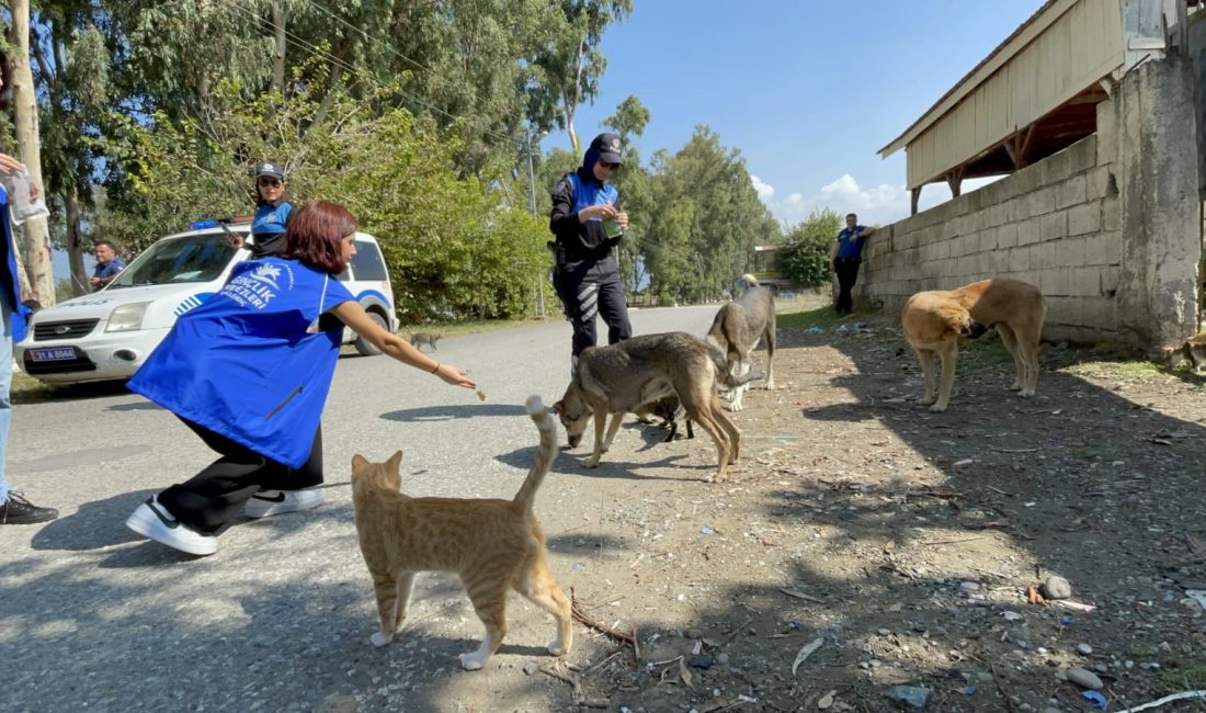 Hatay’ın Dörtyol ilçesinde, polis