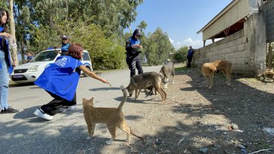 Hatay’ın Dörtyol ilçesinde, polis ekipleri gönüllülerle sahipsiz hayvanlar için sahile