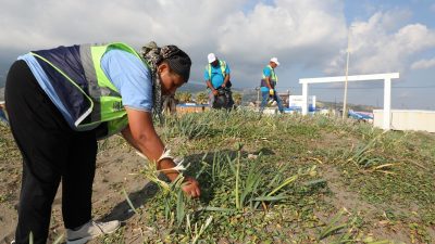 Hatay Büyükşehir Belediyesi, sahil temizlik çalışmalarına devam ediyor. HBB Çevre