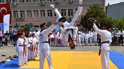 Millî Eğitim Bakanlığına bağlı resmî eğitim kurumlarının beden eğitimi alanında