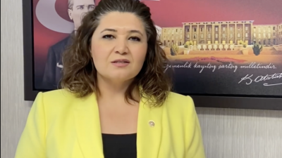 İYİ Parti Tekirdağ Milletvekili Selcan Hamşıoğlu paylaştıkları sığınmacı haberleri dolayısıyla