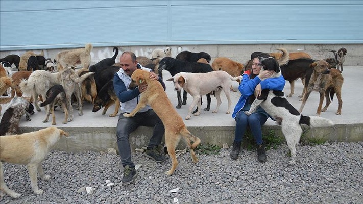 CHP Bolu Milletvekili Türker