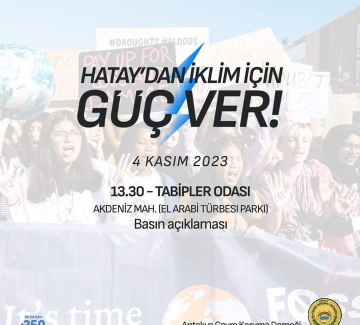 350. org iklim hareketi