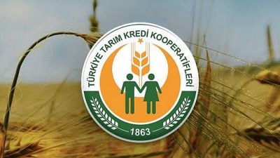 Tarım Kredi Kooperatifi’nin “İhracat” kaydıyla Afrin Zeytinyağını satın alarak iç