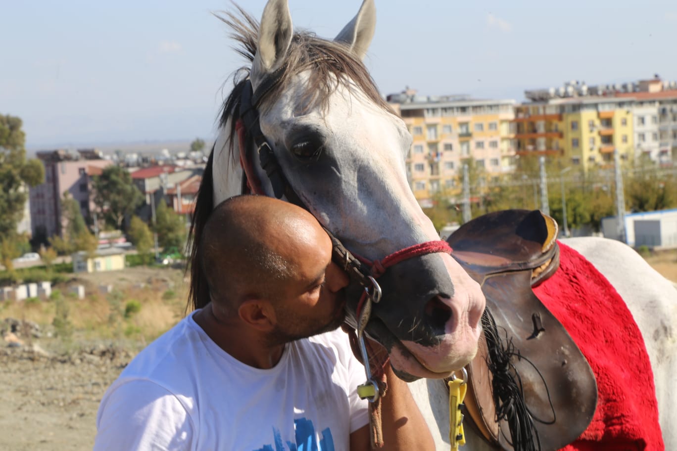 Hataylı depremzede atını yanından ayırmıyor