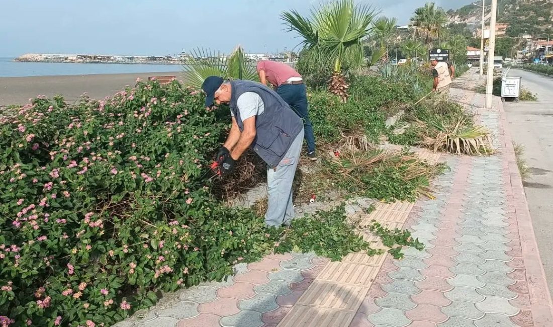 Samandağ Belediyesi Park ve