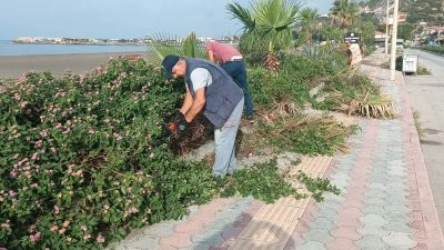 Samandağ Belediyesi Park ve Bahçeler Müdürlüğü ekipleri, ilçe genelinde temiz