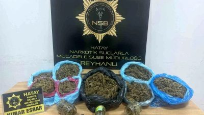 Hatay’ın Reyhanlı ilçesinde Narkotik polisinin arama yaptığı evde yüklü miktarda