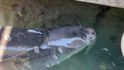 Hatay'ın Dörtyol ilçesinde geçtiğimiz akşam saatlerinde etkili olan fırtına ve