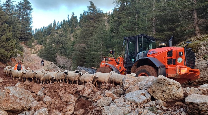 Meteoroloji’nin uyarmasına rağmen önlem almayan ve Adana’nın Feke ilçesi yaylalarında