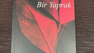 İstanbul Aydın Üniversitesi Öğretim Görevlisi Dr. Naim BABÜROĞLU’nun ‘Avucumda Solan