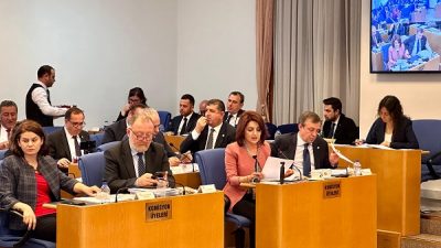 CHP Mersin Milletvekili Gülcan Kış, TBMM Plan ve Bütçe Komisyonunda