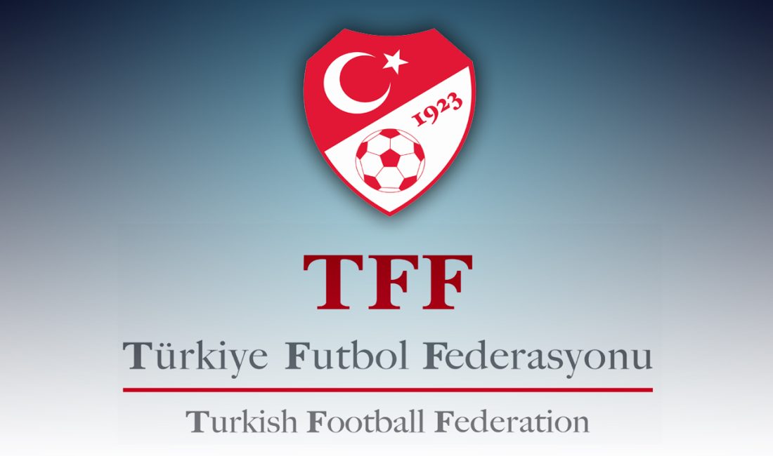 TFF Disiplin kurulu, Hatayspor