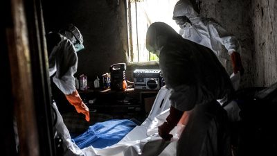 Dünya Sağlık Örgütü (DSÖ) 5 Afrika ülkesinin şarbon salgını riski