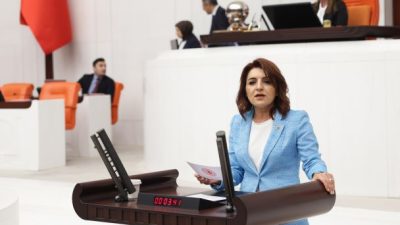 CHP’li Kış, 86 maddelik Torba Yasa’nın içerisinde yer alan, 2920