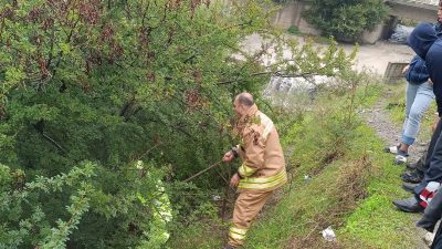 Hatay’ın Dörtyol ilçesinde çukura düşen atı itfaiye kurtardı. Numune Evler