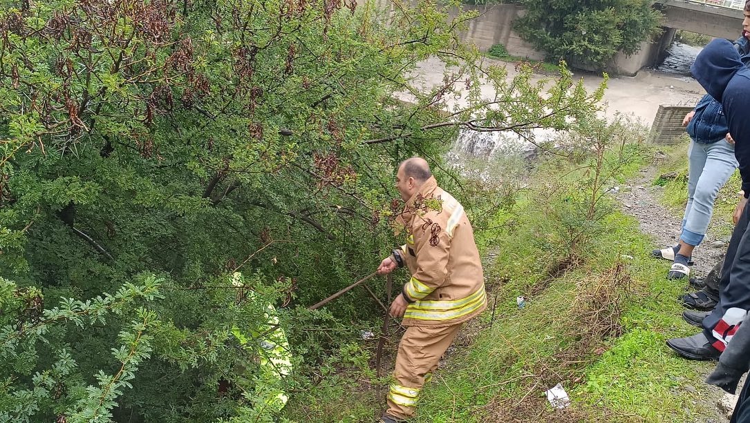 Hatay’da çukura düşen at itfaiye tarafından kurtarıldı