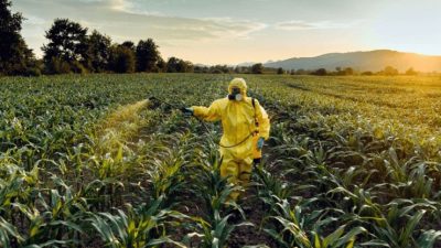 Avrupa Birliği’nin son raporuna göre, Türkiye’den ihraç edilen 27 gıda