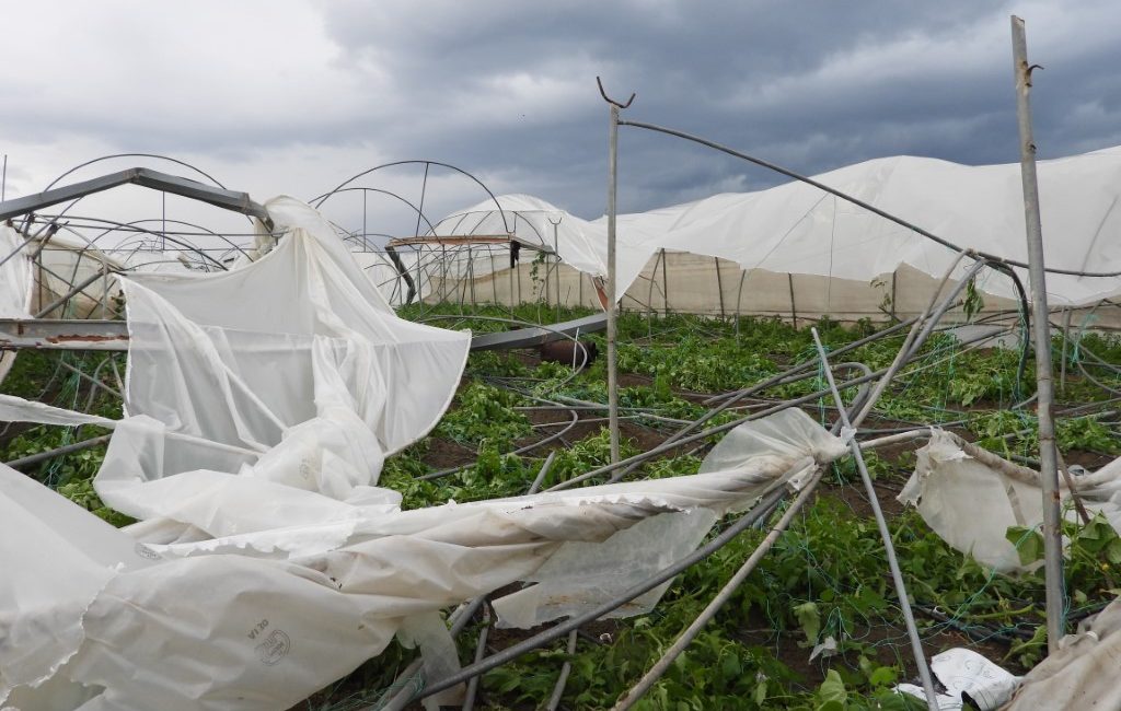 Hatay’ın Samandağ ilçesinde çıkan hortum seraları yerle bir etti, ağaçları