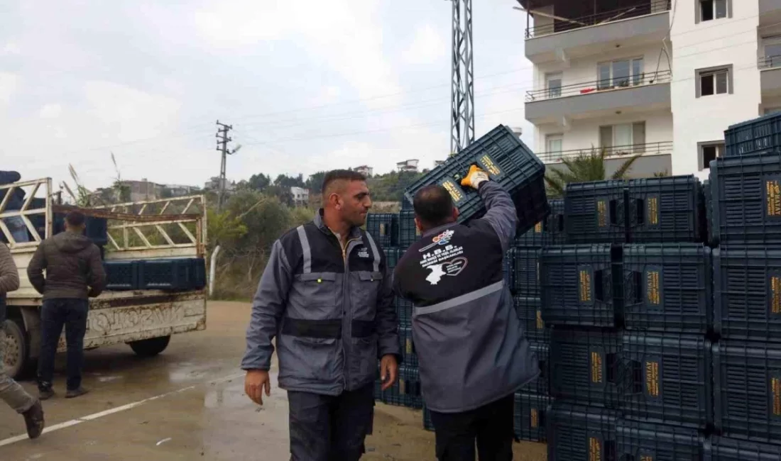 Hatay Büyükşehir Belediyesi, tarımsal